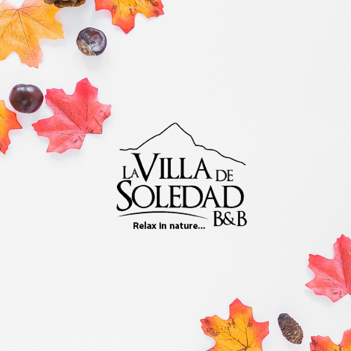 Logo del hotel