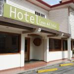 Profile picture for user casaarbol