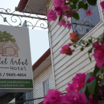 Profile picture for user casaarbol